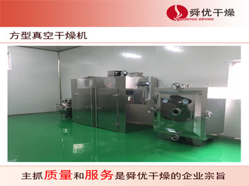 FZG方形静态真空干燥机