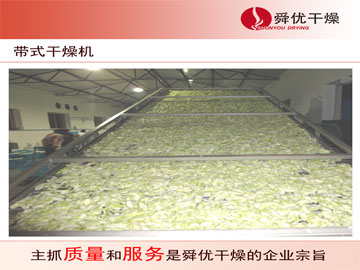 DWC系列脱水蔬菜带式干燥机